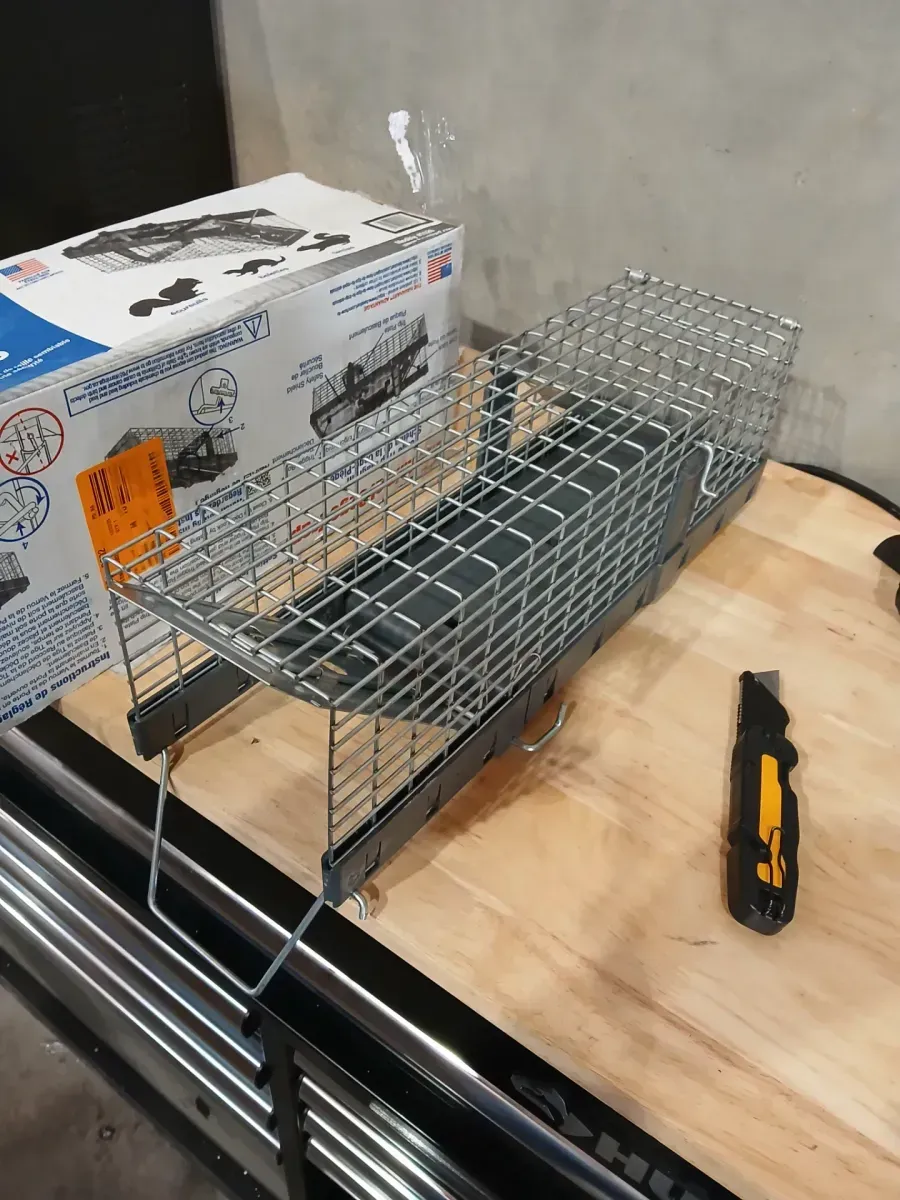 Havahart Small 1-Door Humane Catch-and-Release Live Animal Cage Trap for Squirrel, Weasel, Chipmunk - image 2