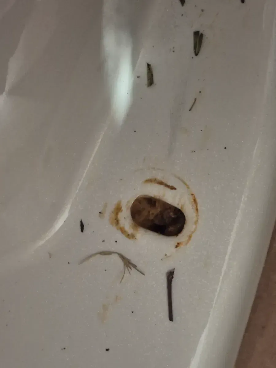 Joist 2-Piece Complete Solution 1.28 GPF Single Flush Elongated Toilet in White (Seat Included) - image 9