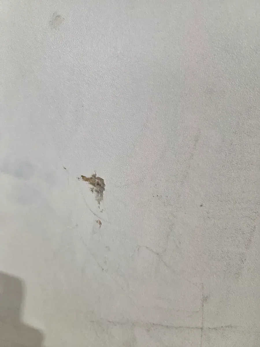 Shaker 18 in. W x 24 in. D x 34.5 in. H Assembled Base Kitchen Cabinet in Satin White - image 7