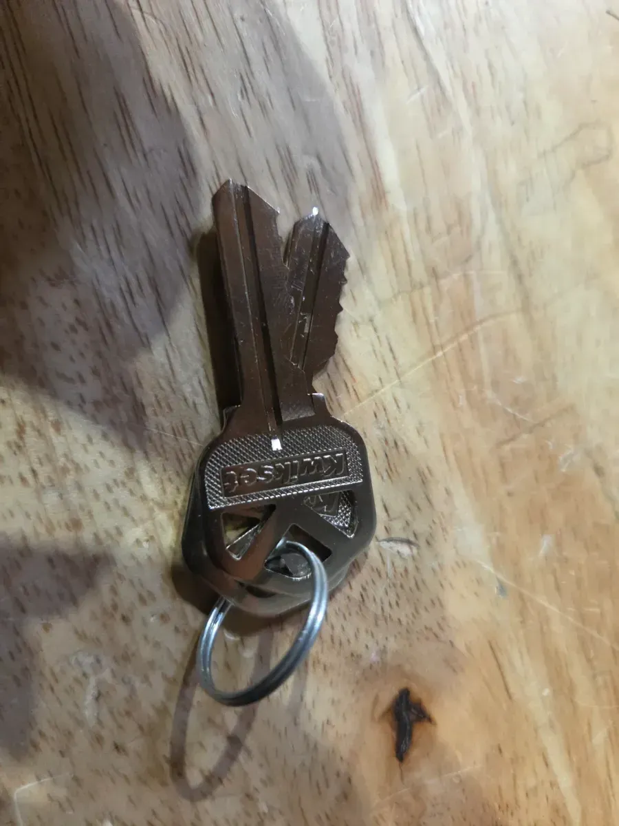 Kwikset Powerbolt 250 10-Button Keypad Venetian Bronze Transitional Electronic Deadbolt Door Lock - image 4