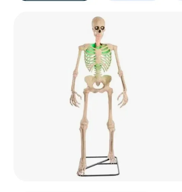 Life-Size Light-Up Skeleton Halloween Decoration - image 1