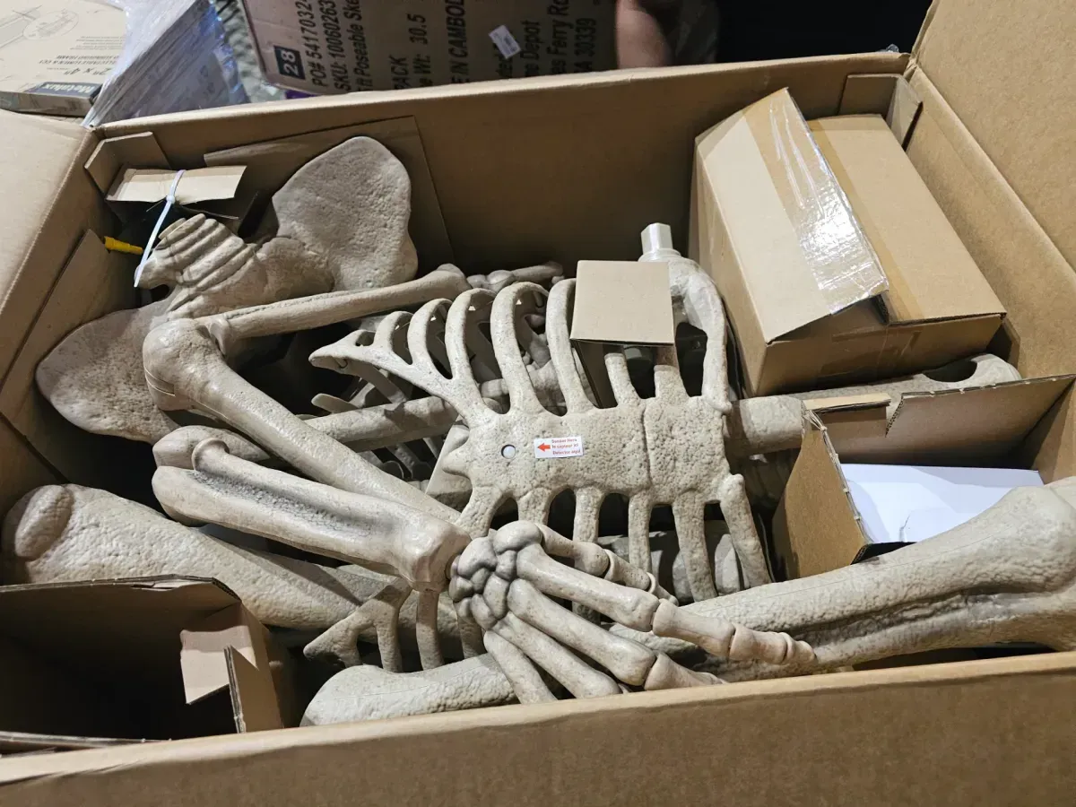 Life-Size Light-Up Skeleton Halloween Decoration - image 2