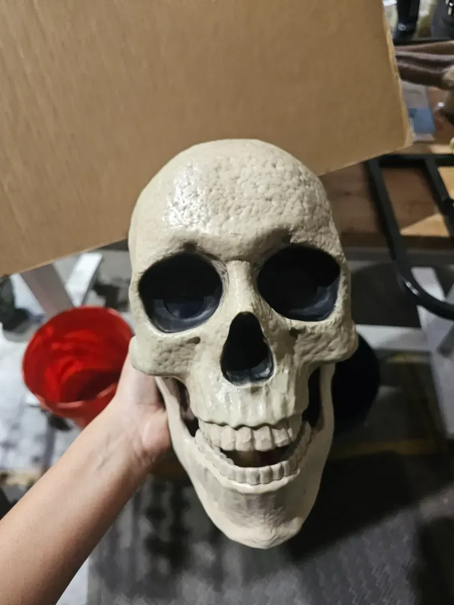 Life-Size Light-Up Skeleton Halloween Decoration - image 3