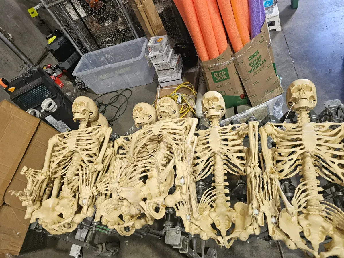 Life-Size Posable Skeleton Halloween Decoration - image 1