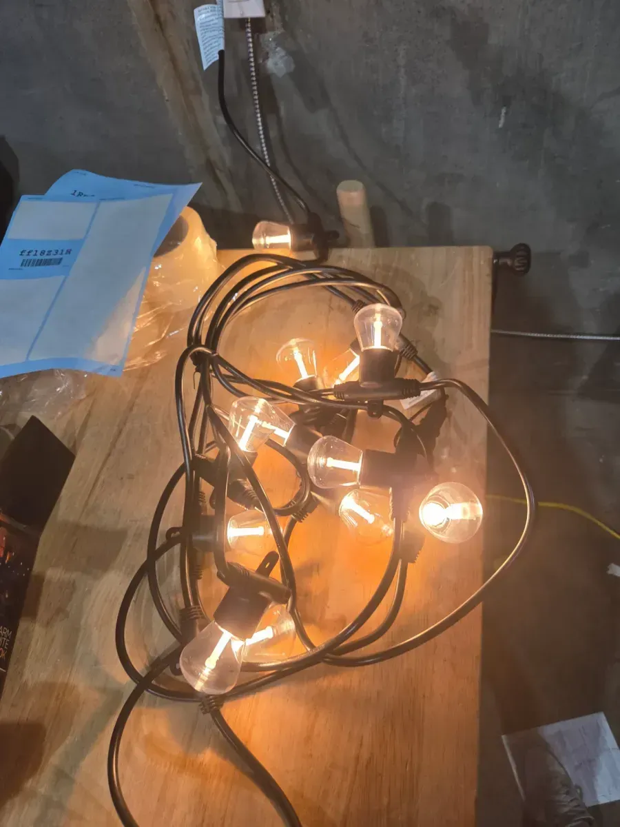 12 Bulb 24 ft. Outdoor/Indoor Bistro LED String Light, Acrylic Edison Bulbs - image 3