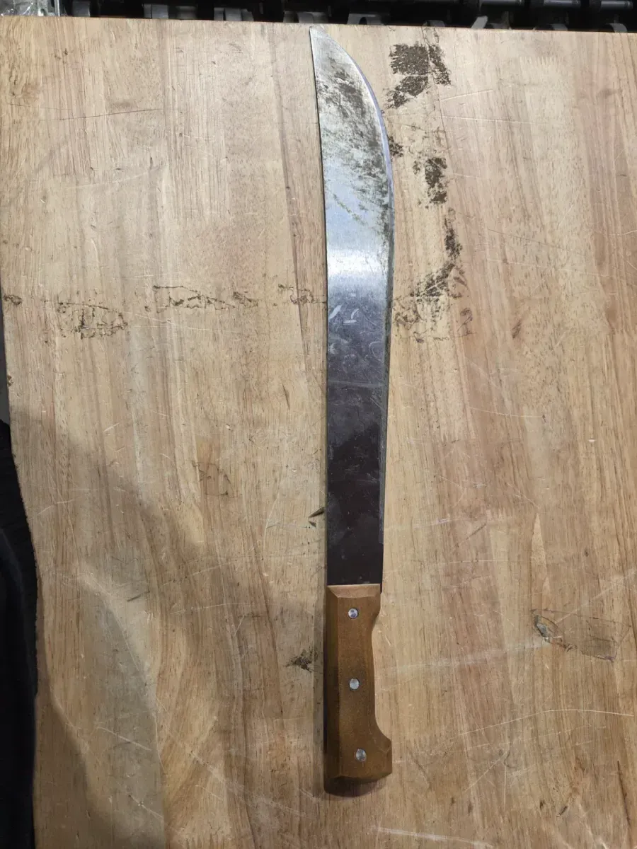 18 in. Machete with Carbon Steel Blade and Wood Handle with Nylon Sheath - image 3