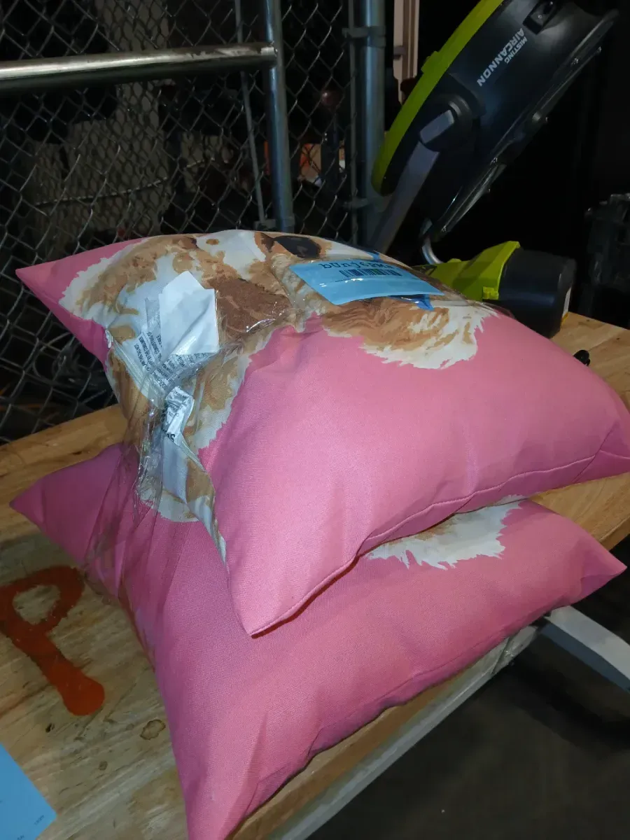 Sunglass Dog Pillow - image 4