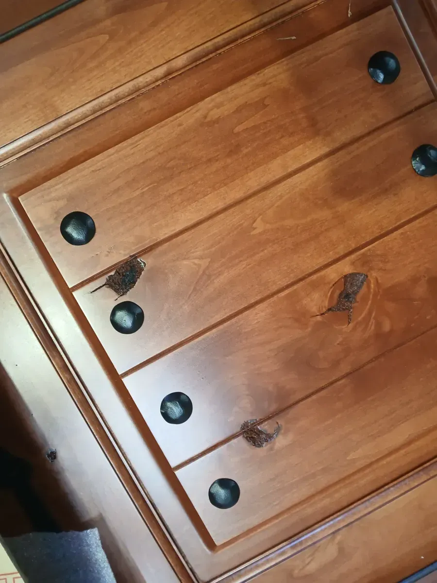 ***minor dents***36 in. x 80 in. Mediterranean Knotty Alder Arch Top Provincial Stain Left-Hand Inswing Wood Single Prehung Front Door - image 4