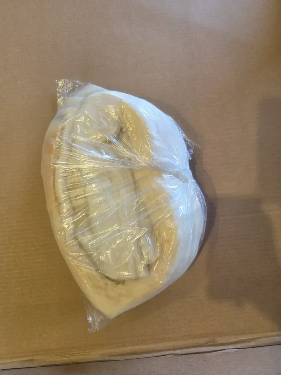 Fenwick Large Glass Fireplace Doors - image 4