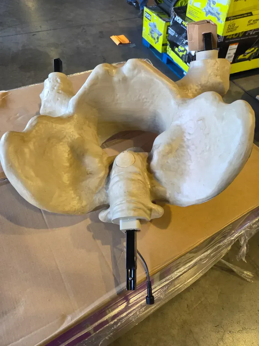 60 in. Halloween Life Size Hanging Skeleton - image 5