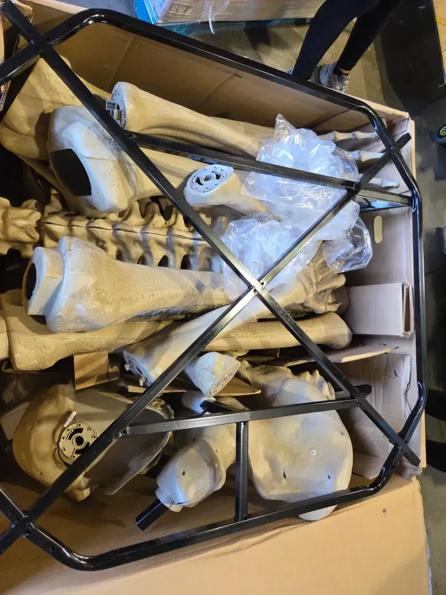 60 in. Halloween Life Size Hanging Skeleton - image 10