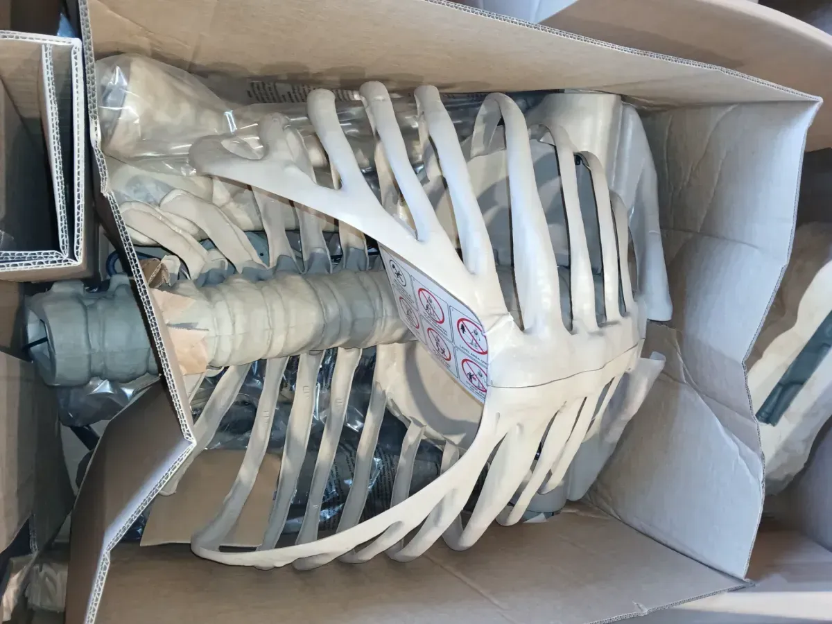 Home Accents Holiday 12 ft. Giant-Sized Skeleton Halloween Decoration with LifeEyes LCD Eyes - image 1