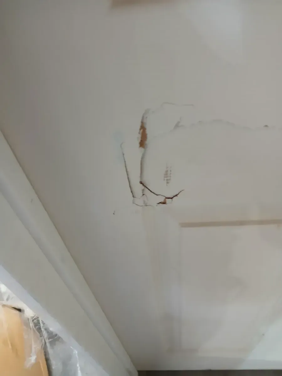 30 in. x 80 in. 6 Panel Left-Handed Primed Composite Hollow Core Single Prehung Interior Door 4-9/16 in. Flat Jamb - image 4