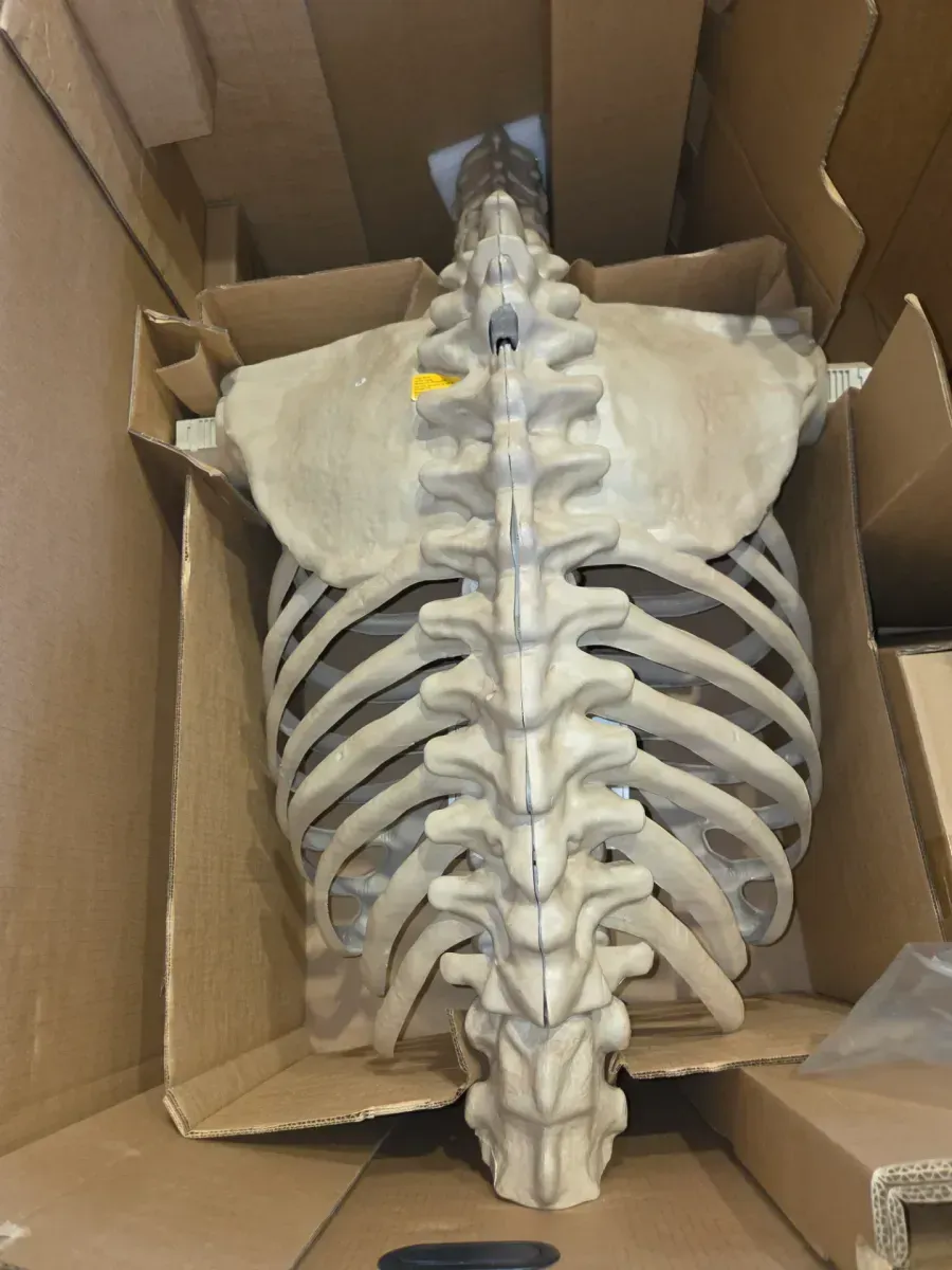 12FT Giant-Sized Skeleton Halloween Decoration LCD Eyes - image 4