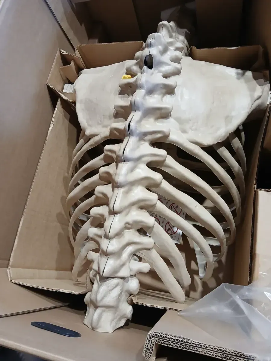 12 ft. Grave & Bones Giant-Sized Skelly with LifeEyes™ LCD Eyes H5 - image 9