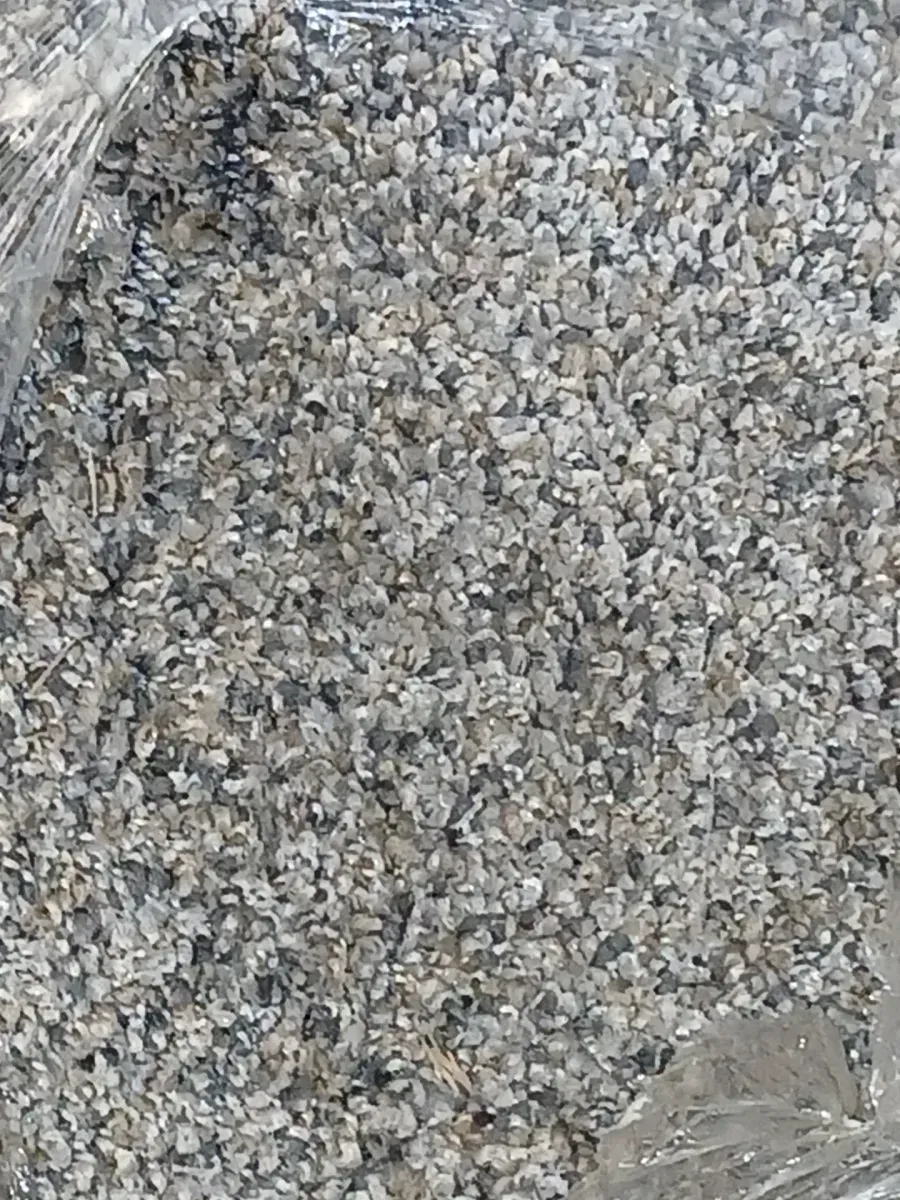 Gallop - Maverick - Gray 12 ft. Wide x Cut to Length 24 oz. SD Polyester Texture Carpet - image 2