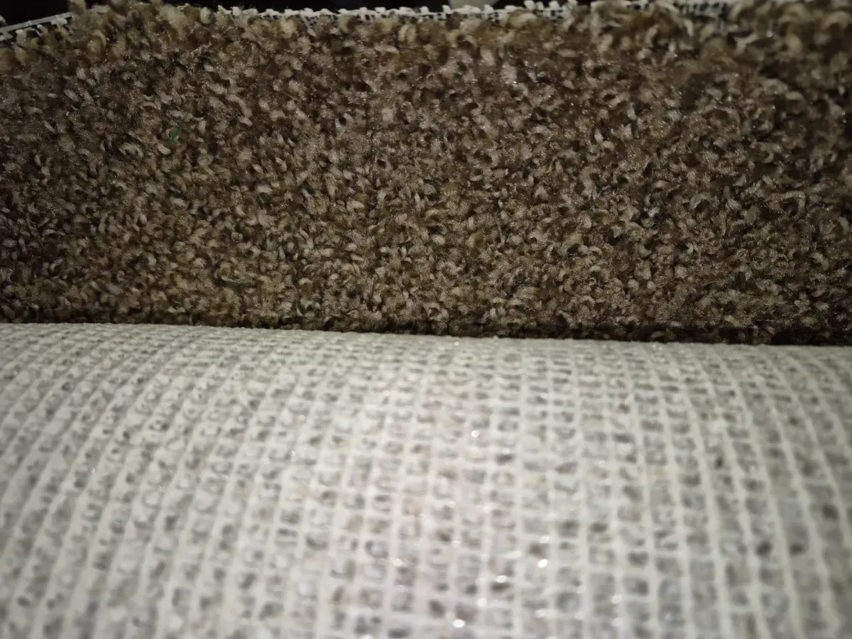 Truly - Coffee - Brown 12 ft. Wide x Cut to Length 16 oz. SD Polyester Texture Carpet - image 3