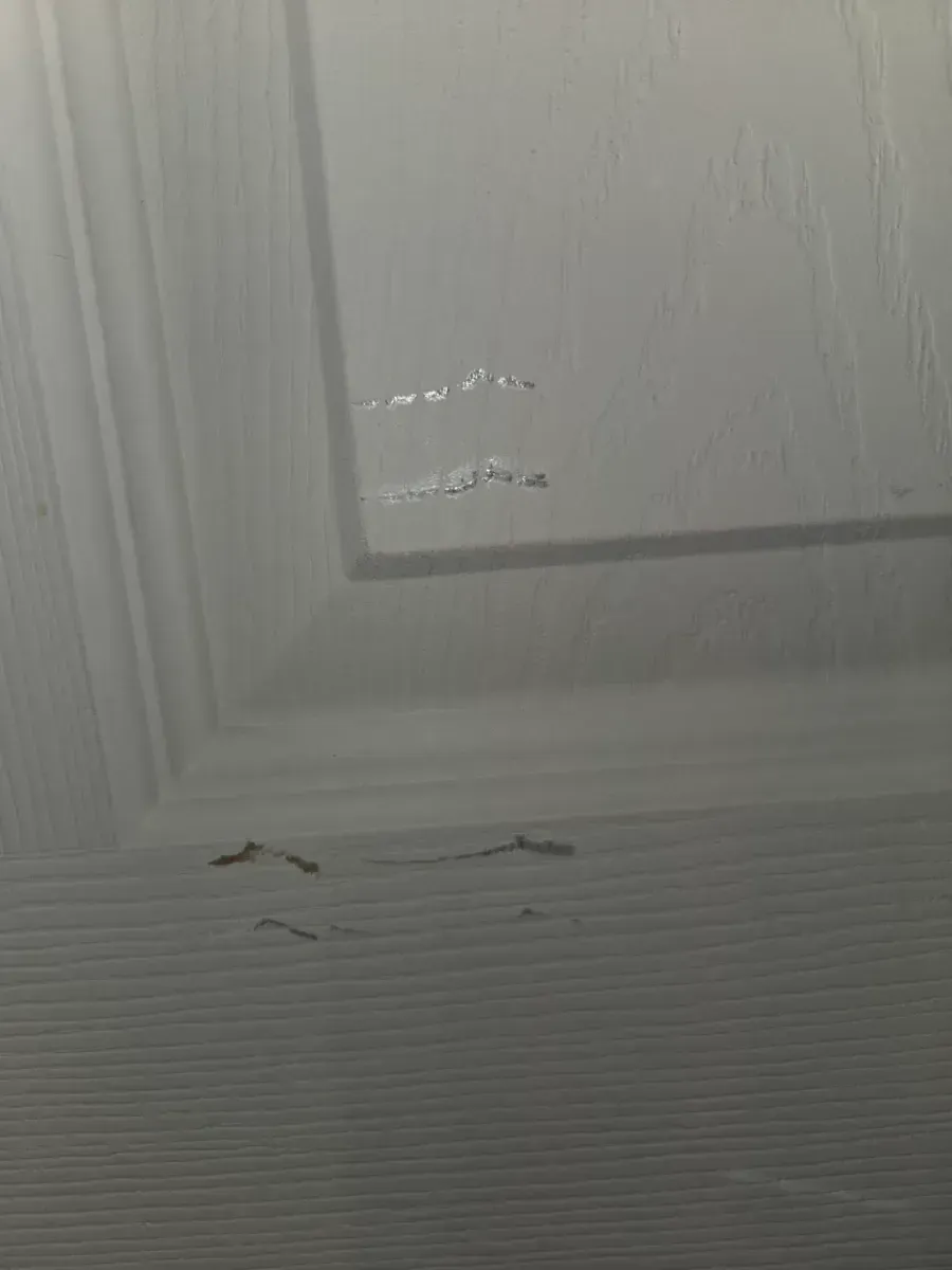 *** With frame *** Masonite 30 in. x 80 in. 6 Panel Left-Handed Primed Composite Hollow Core Single Prehung Interior Door 4-9/16 in. Flat Jamb - image 2