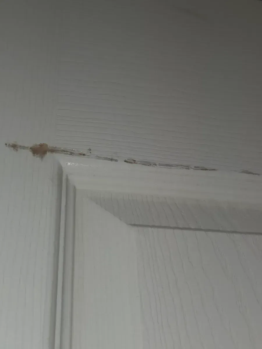 *** with frame ***Masonite 30 in. x 80 in. 6 Panel Left-Handed Primed Composite Hollow Core Single Prehung Interior Door 4-9/16 in. Flat Jamb - image 2