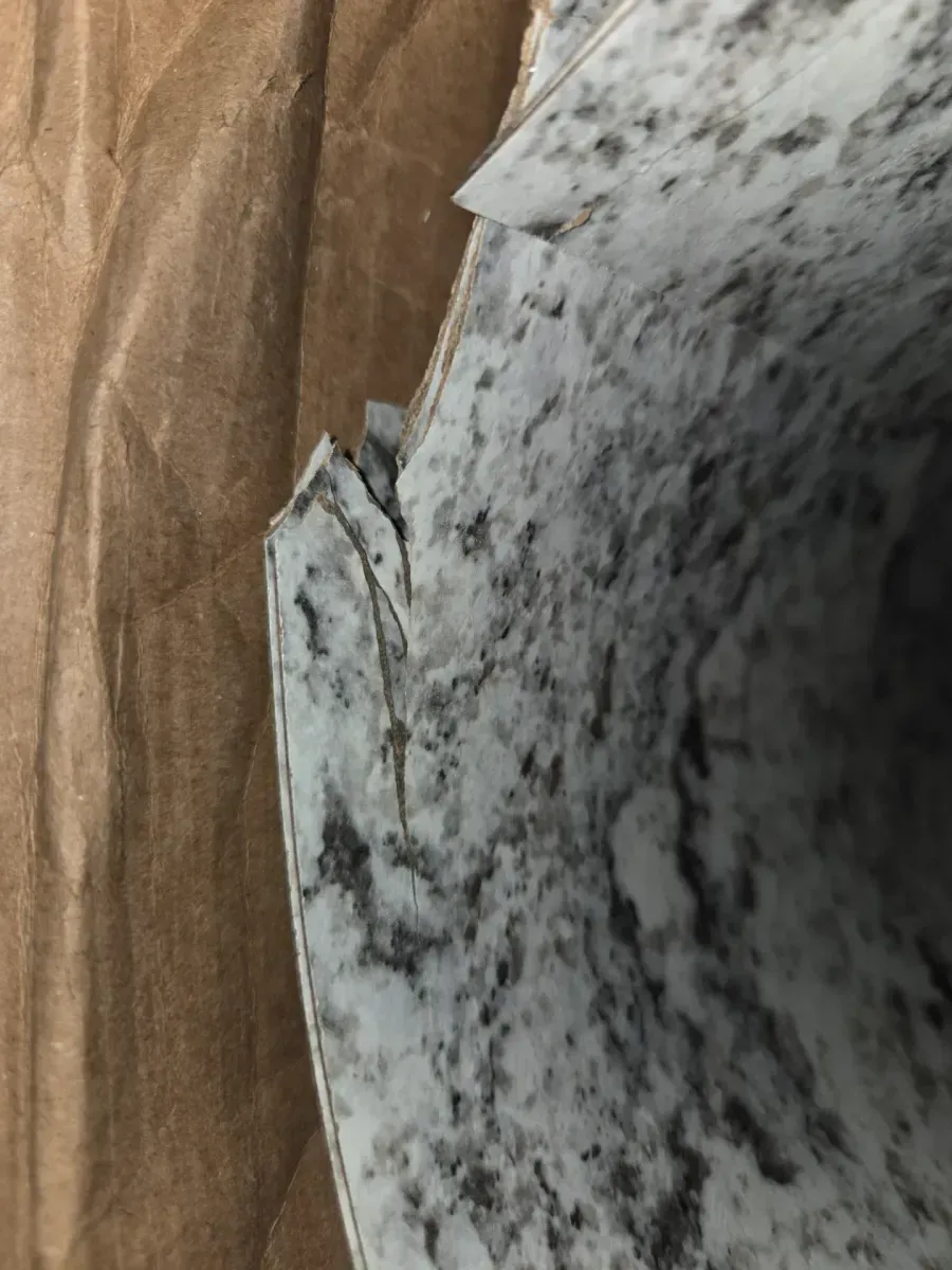 5 ft. x 12 ft. Laminate Sheet in White Ice Granite with Premiumfx Etchings Finish - image 4