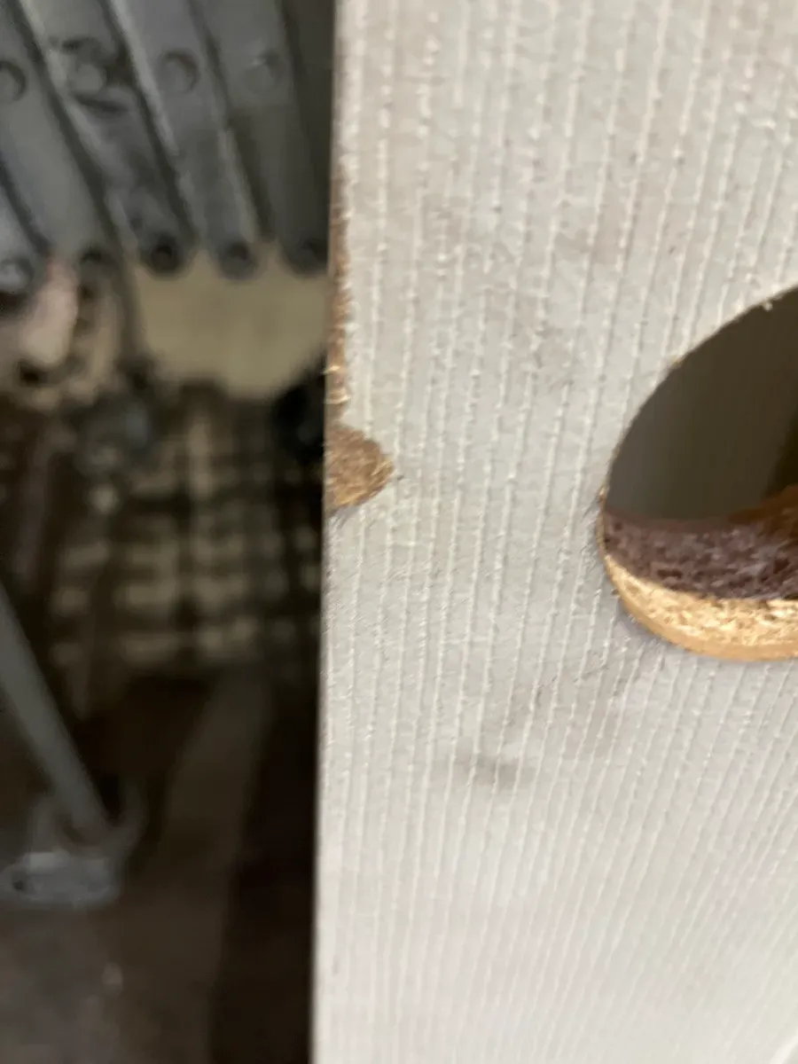 Masonite Textured 6-Panel Hollow Core Primed Composite Interior Door Slab with Bore - image 4