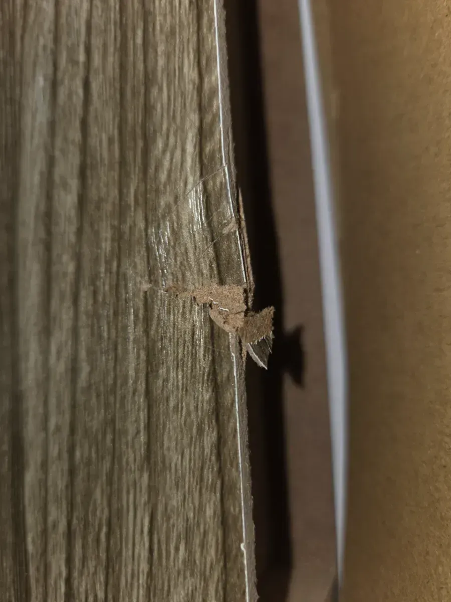 Chicago 10 in. W x 42 in. D Floating Grey Oak Decorative Ledge - image 5