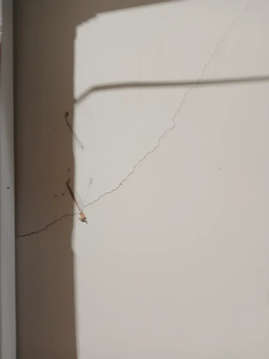 **has minor dents snd scratches **036 in. x 80 in. No Panel Left-Handed Primed Composite Hollow Core Single Prehung Interior Door 4-9/16 in. Flat Jamb - image 6