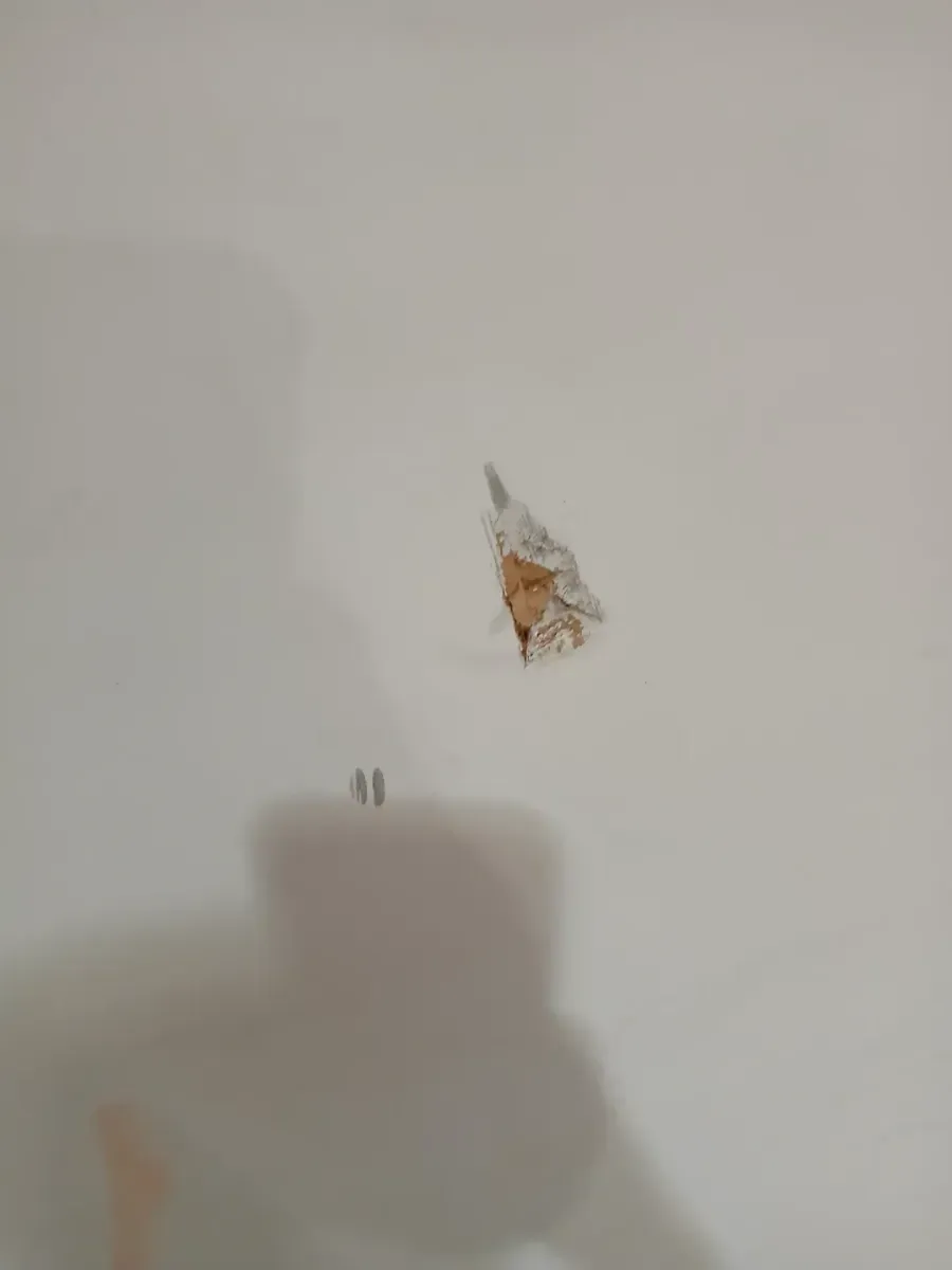 **has minor dents snd scratches **036 in. x 80 in. No Panel Left-Handed Primed Composite Hollow Core Single Prehung Interior Door 4-9/16 in. Flat Jamb - image 3