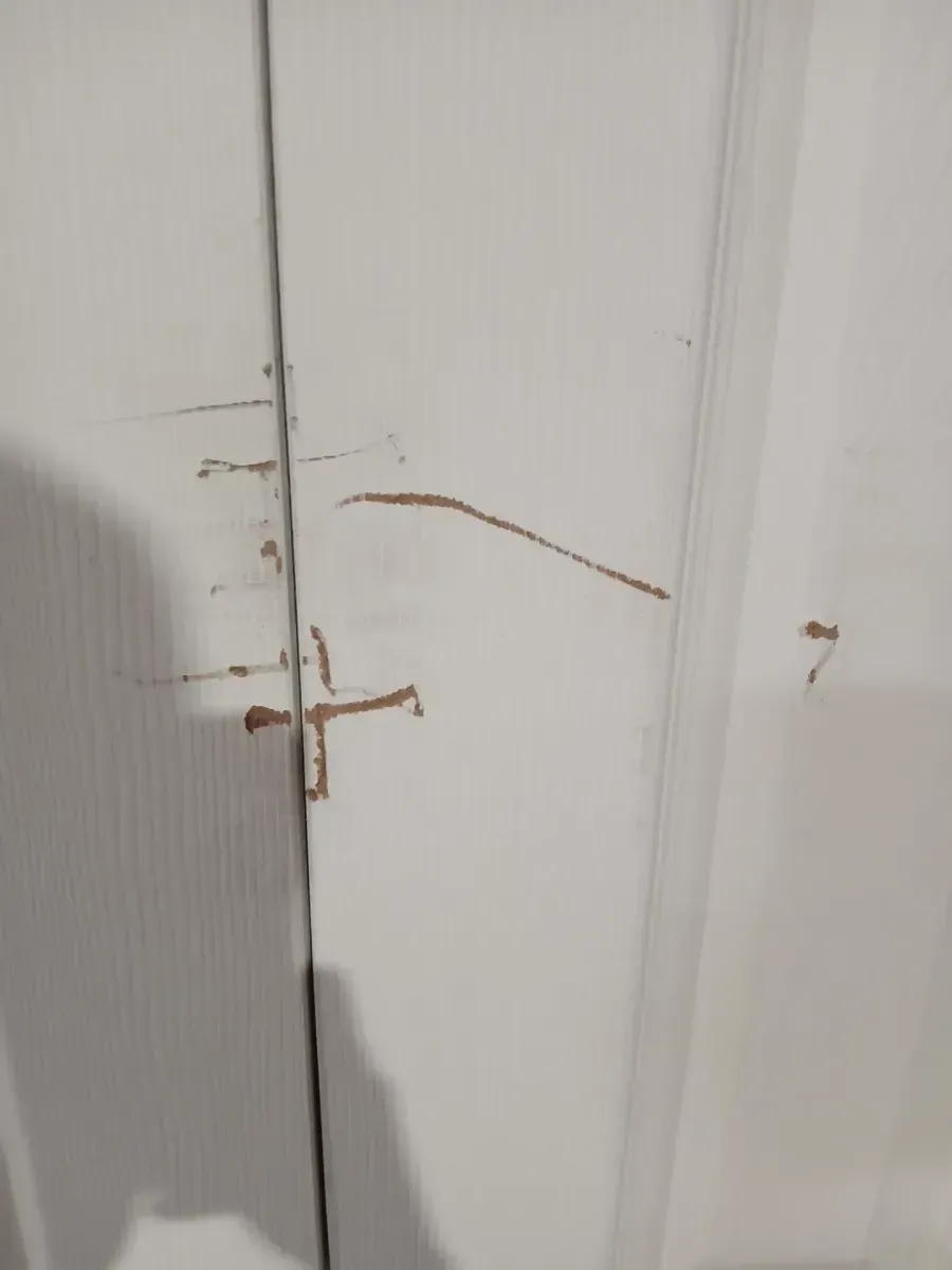 ** has scratches and minor dents **48 in. x 80 in. 6 Panel White Primed Hollow Core MDF. Double Pre-Hung French Door with Quick Assemble Jamb - image 3