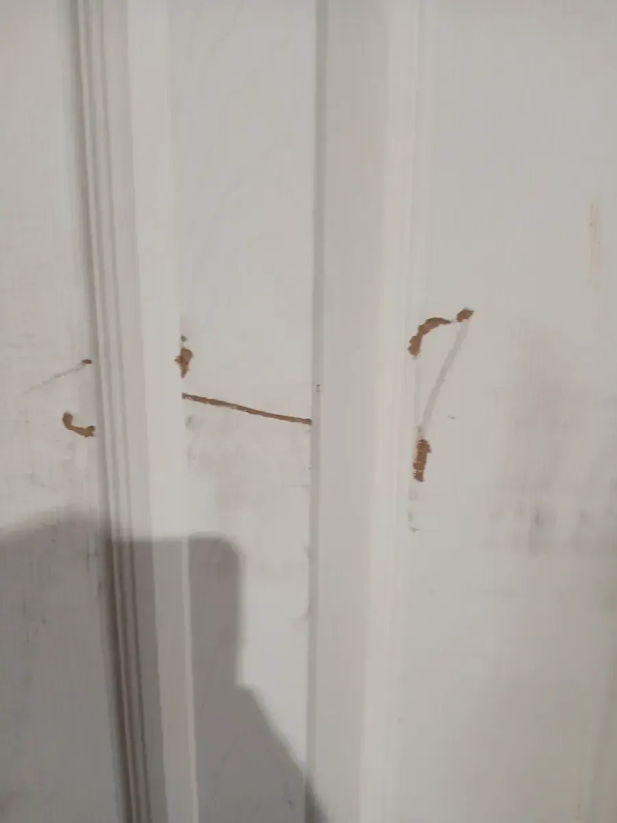 ** has scratches and minor dents **48 in. x 80 in. 6 Panel White Primed Hollow Core MDF. Double Pre-Hung French Door with Quick Assemble Jamb - image 4
