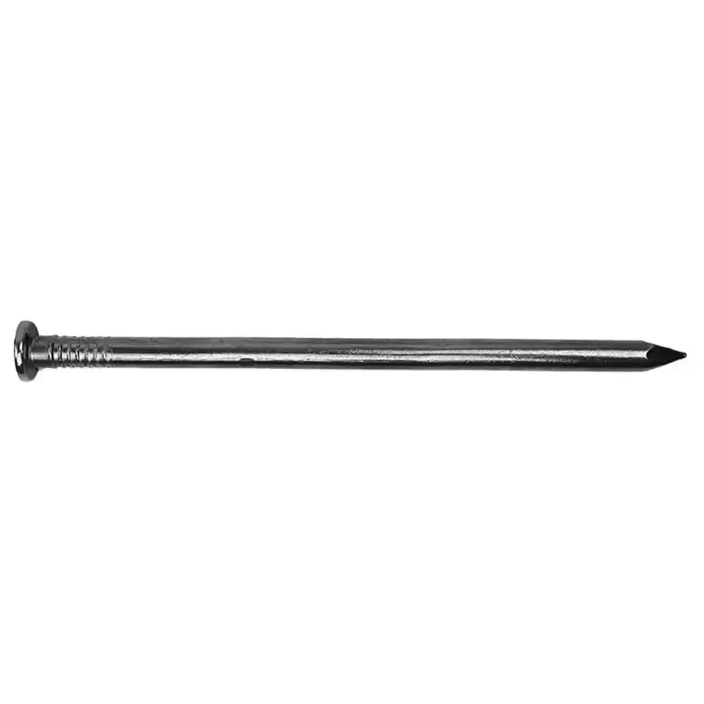 10 in. x 3/8 in. Hot Dipped Galvanized Common Spike Nail 50 lbs. (150-Count) - image 1