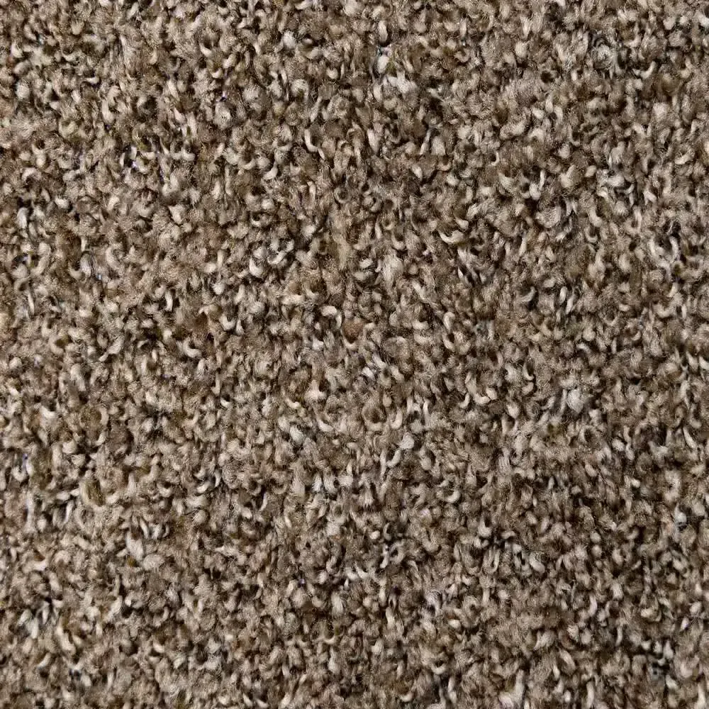 Truly - Coffee - Brown 12 ft. Wide x Cut to Length 16 oz. SD Polyester Texture Carpet - image 1