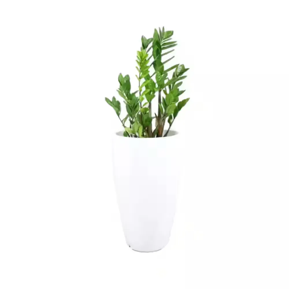 35 in. Tall White Verona Plastic Planter - image 1