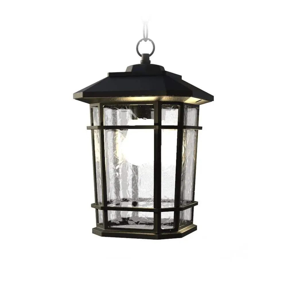 KODA Williams 14 in. 1-Light Black Dimmable Outdoor Pendant Light with Clear Glass and 8-Watt LED Bulb - image 1