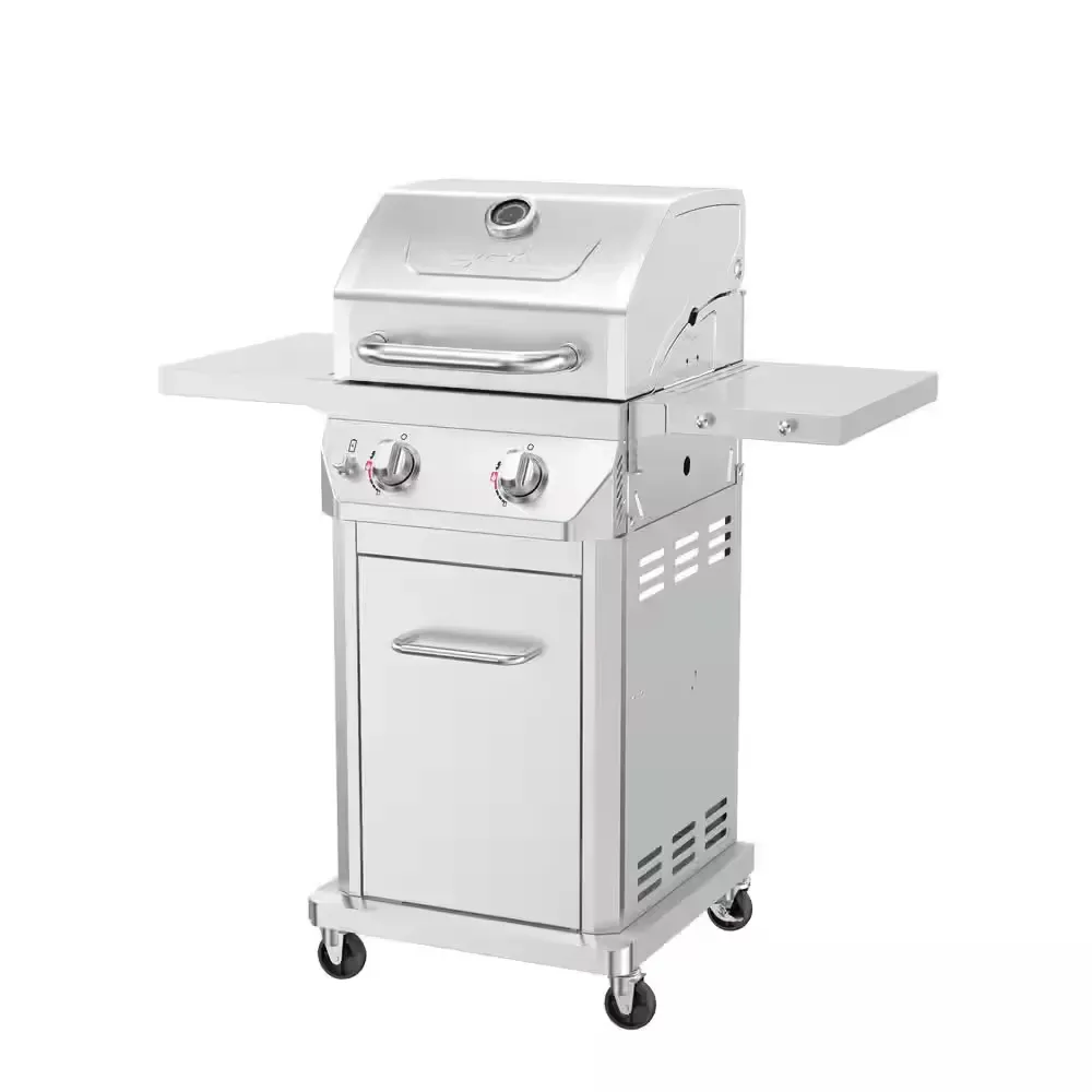 2 Burner Stainless Steel Propane Gas Grill with Folding Side Shelves - image 1