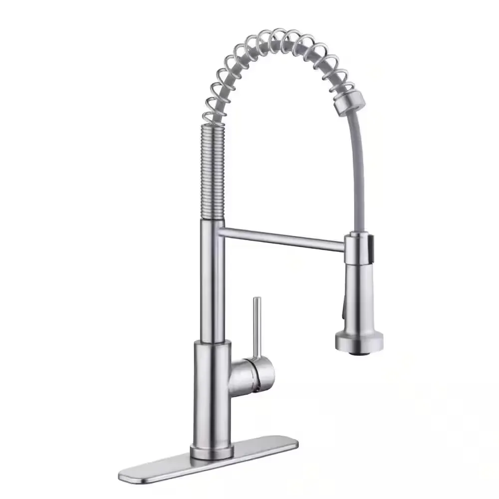 Paulina Single-Handle Spring Neck Pull Down Sprayer Kitchen Faucet in Stainless Steel - image 1