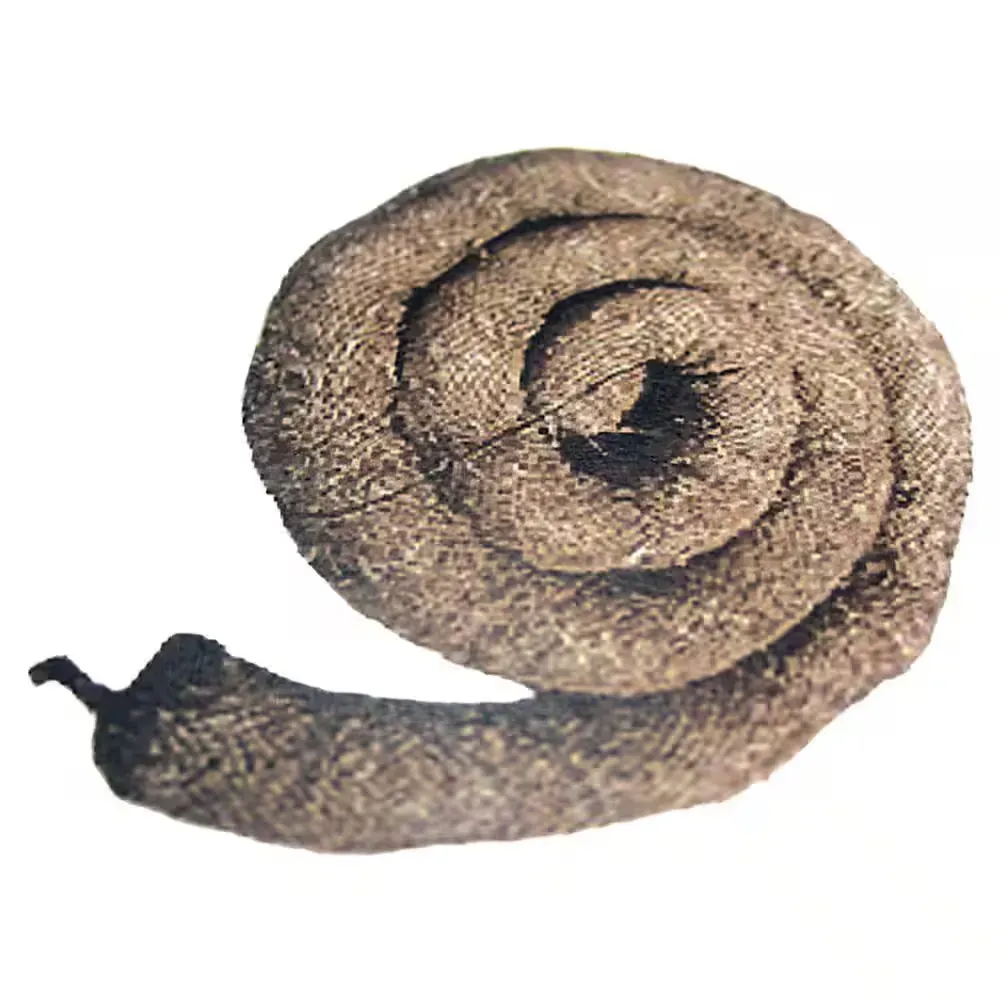 8 in. x 25 ft. Straw Wattle - image 1