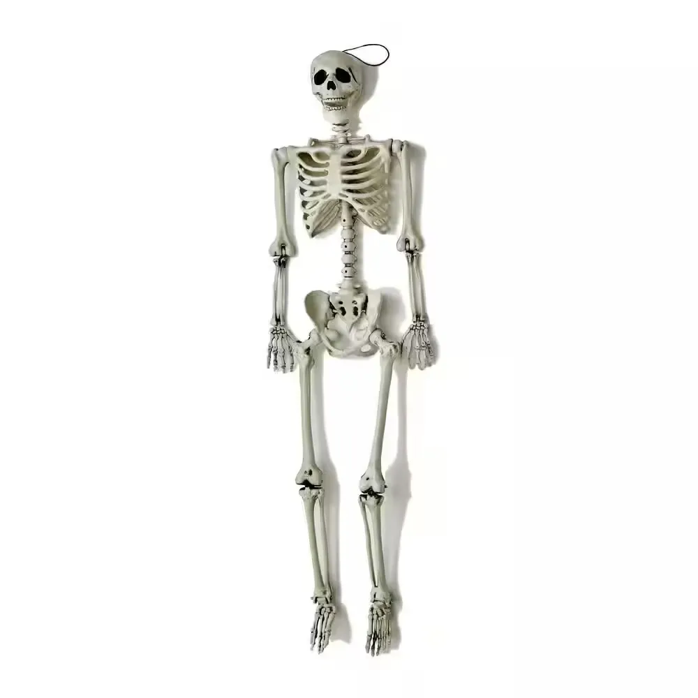 60 in. Halloween Life Size Hanging Skeleton - image 1