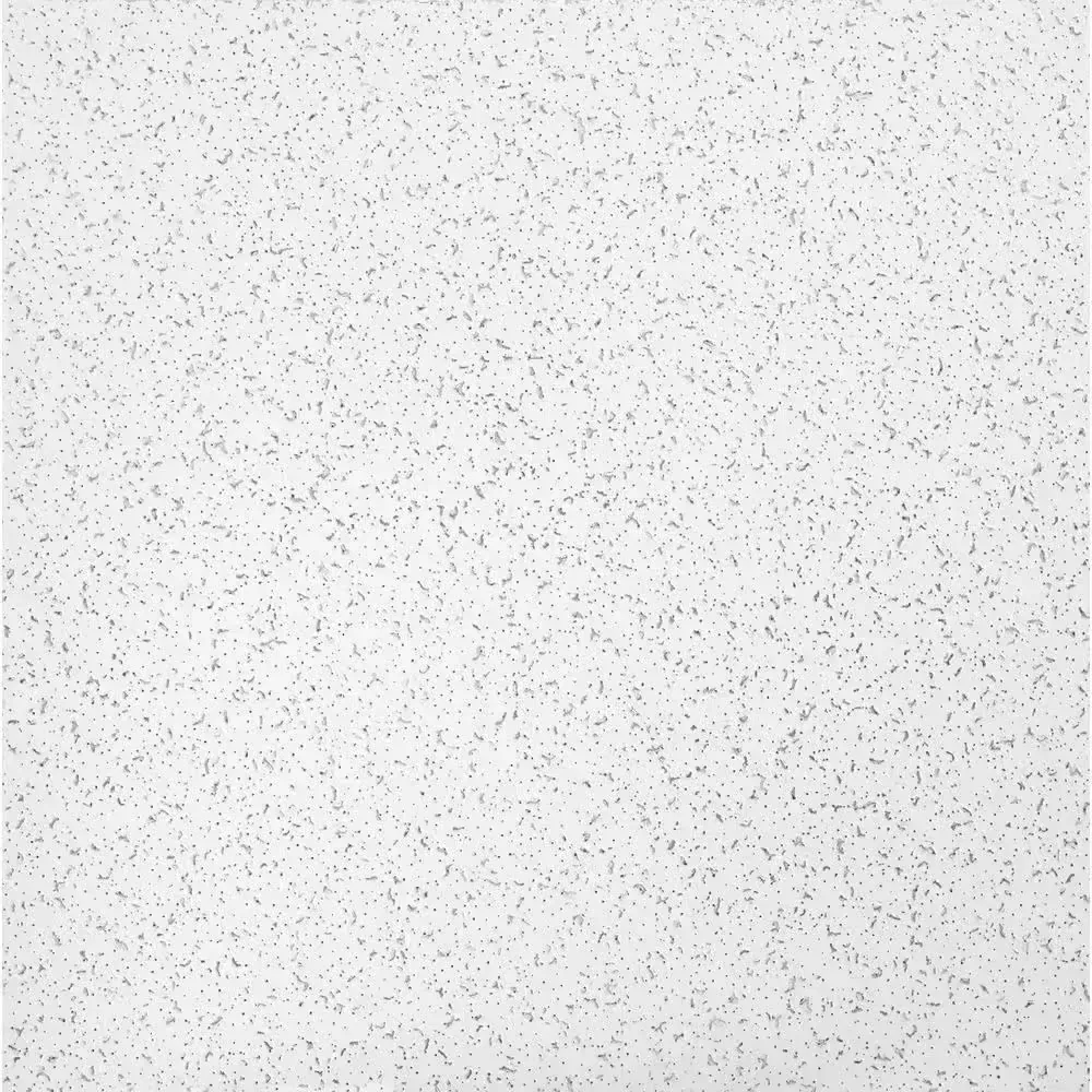 ***case of 20***Random Textured 2 ft. x 2 ft. Textured Ceiling Tile (64 sq. ft./Case) - image 1
